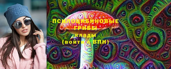 дмт Лагань