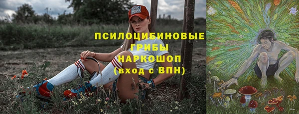 дмт Лагань
