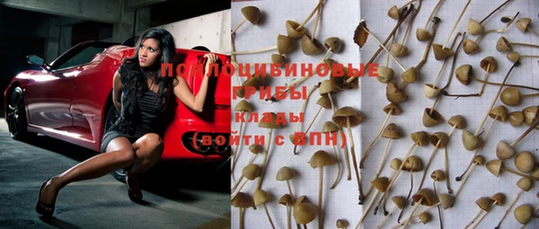 круглые Ладушкин