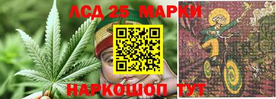 прущие грибы Гусев
