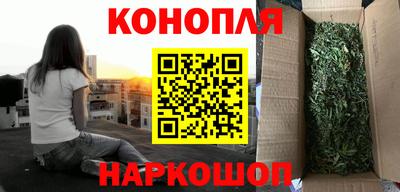 прущие грибы Гусев