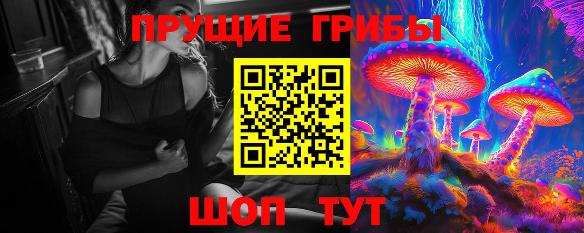 Нижнекамск  Псилоцибиновые грибы GOLDEN TEACHER  Вход с VPN 
